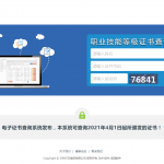 兰石集团职业技能等级证书查询系统